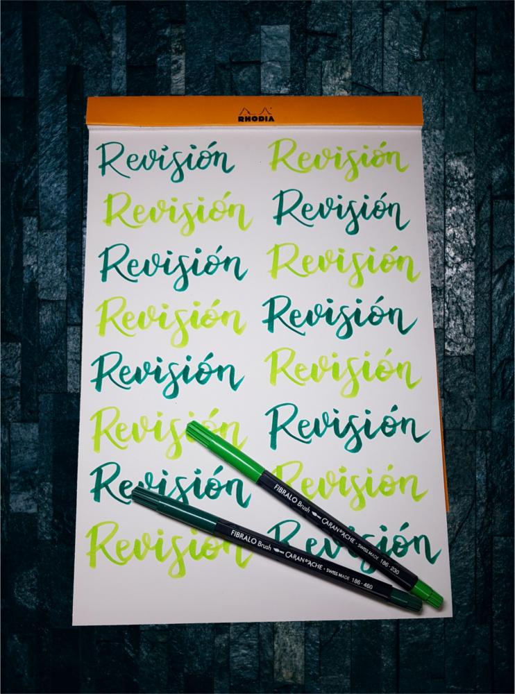 Día de revisión